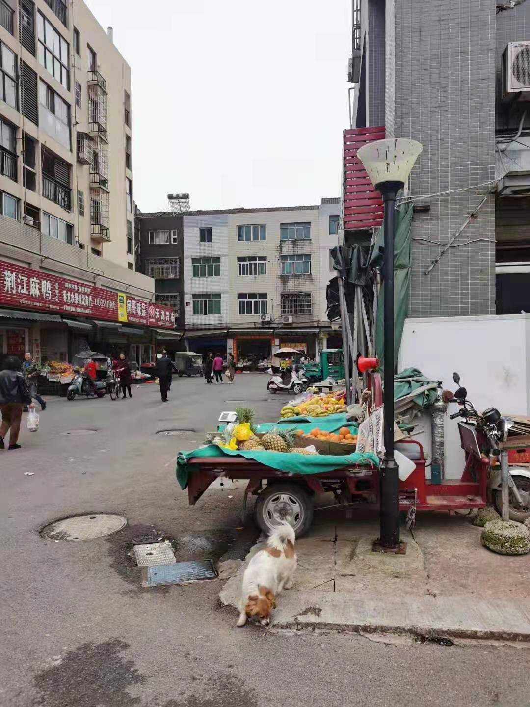 江陵縣“郝穴大市場改造”項(xiàng)目抵稅商品房一批拍賣公告(圖17)