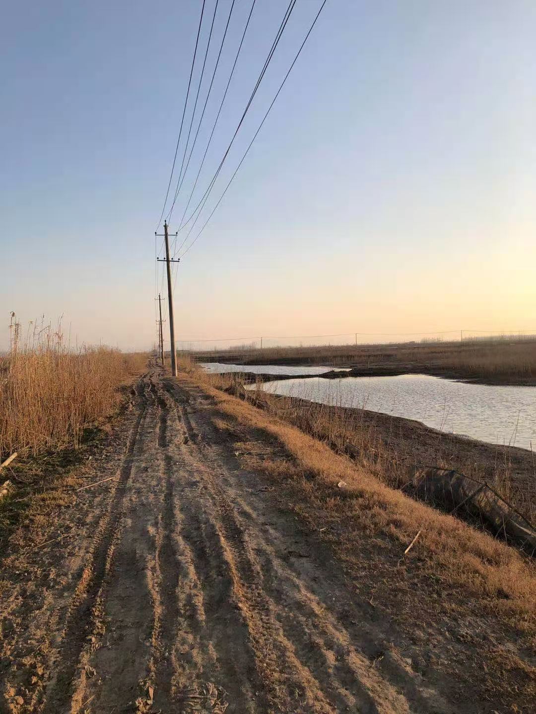 石首市小河口鎮(zhèn)神皇洲低洼地塊漁池約1400畝7年租賃經(jīng)營權(quán)(圖4)