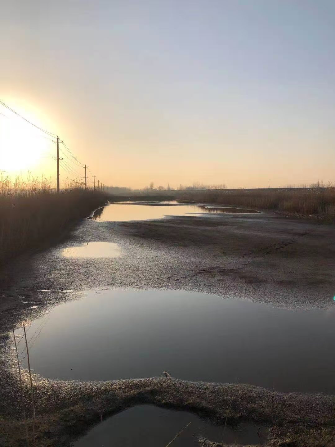 石首市小河口鎮(zhèn)神皇洲低洼地塊漁池約1400畝7年租賃經(jīng)營權(quán)(圖7)